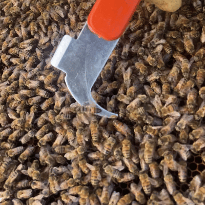 Paket Arı (8 Çerçeveli) Sipariş İçin Kapora Ödeme Sayfası