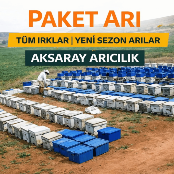 Paket Arı (8 Çerçeveli) Sipariş İçin Kapora Ödeme Sayfası