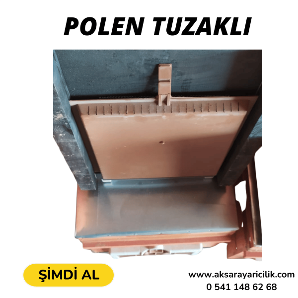 Arı Kovanı (20 Çerçeveli)