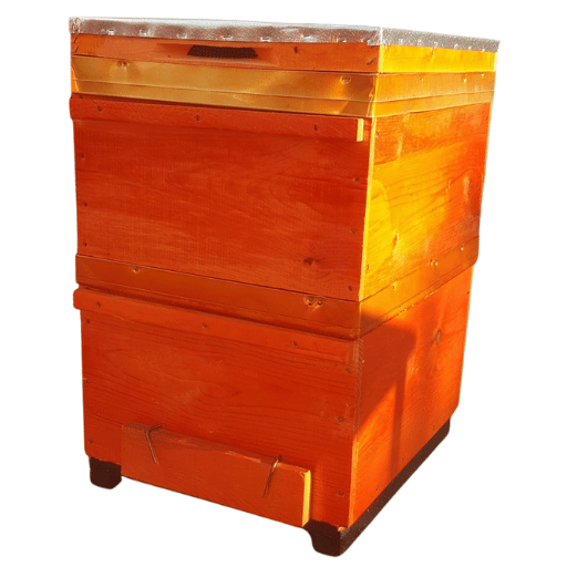 Arı Kovanı (20 Çerçeveli)