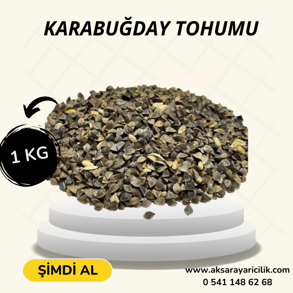 KARABUĞDAY TOHUMU - 1 KG