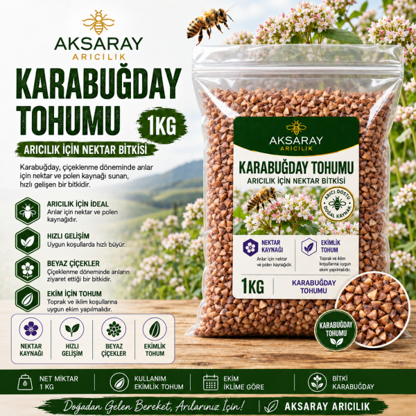 Karabuğday Tohumu 1 KG – Arıcılık İçin Ekimlik Nektar Bitkisi
