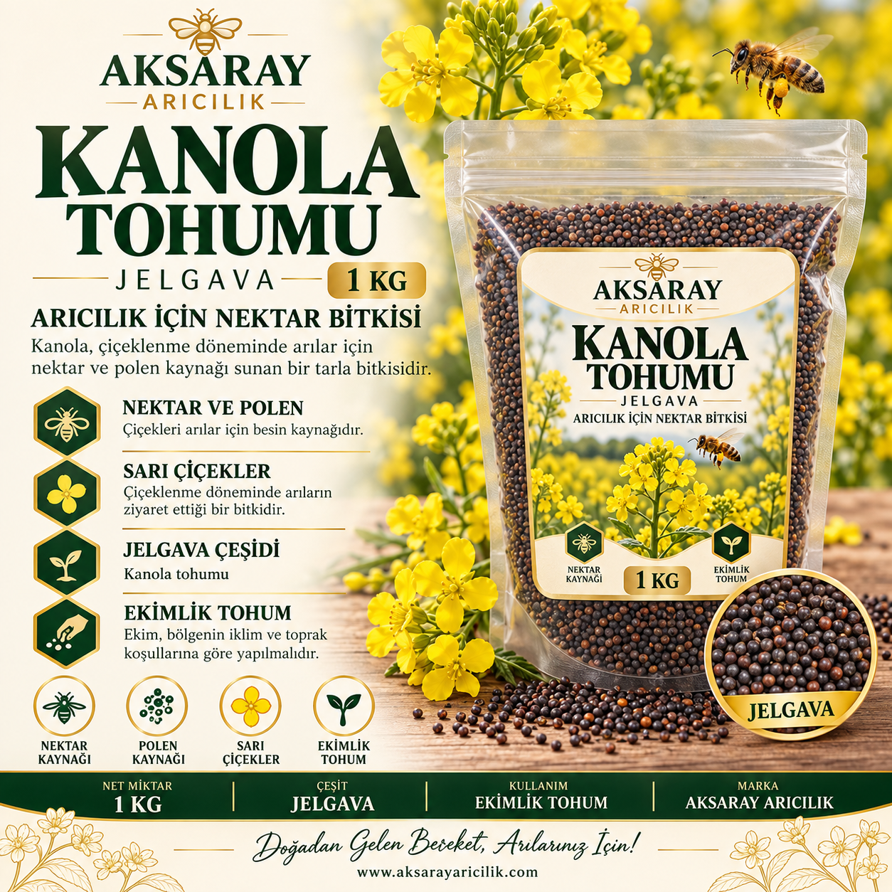 Kanola Tohumu Jelgava - 1 Kg