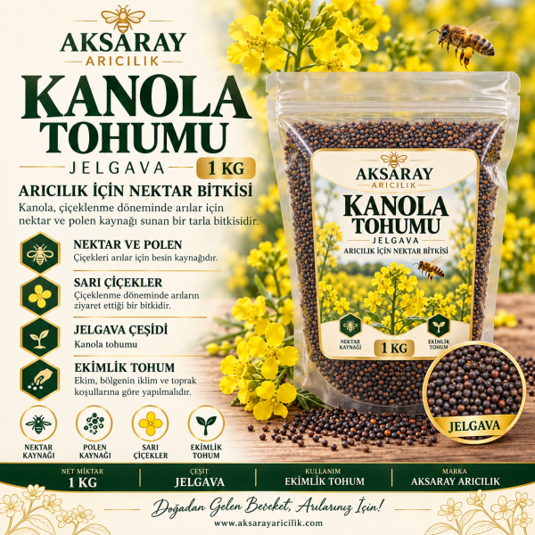 Kanola Tohumu Jelgava - 1 Kg